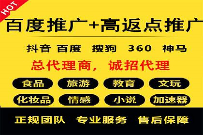百度推广优化策略：成功案例解析